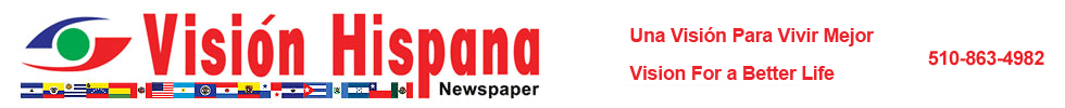 Vision Logo